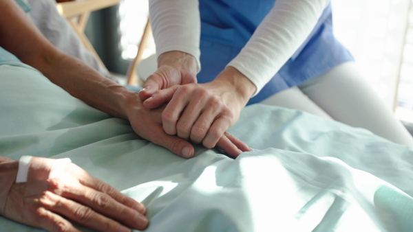 Midsection of unrecognizable friendly woman doctor sitting by patient in bed in hospital, holding hands.