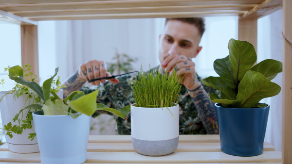 Front view portrait of young man indoors at home, cutting herbs.