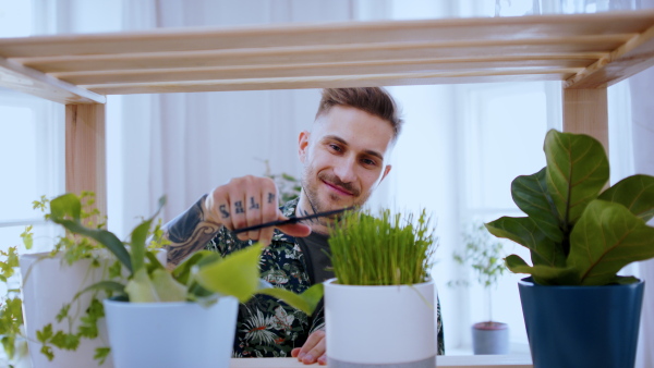 Front view portrait of man indoors at home, cutting herbs and looking at camera.