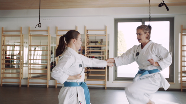 Two young women practising karate indoors in gym.