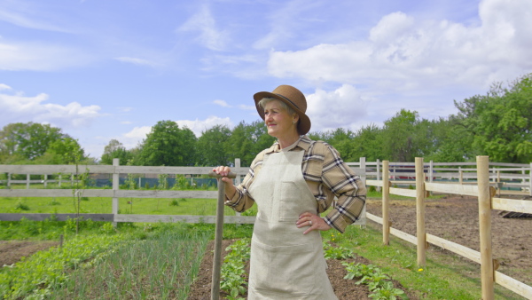 A senior woman standing on field, looking at camera. Community farming concept.