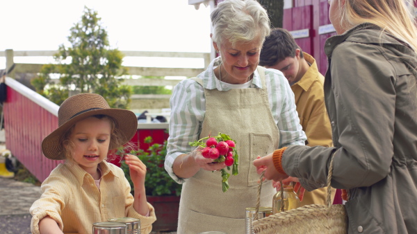 A customers buying fresh products on farm market. Community farming concept.