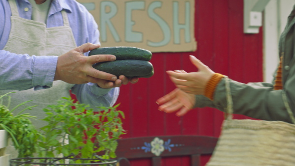 An unrecognizable customer buying fresh products on farm market. Close up on cucumbers. Community farming concept.