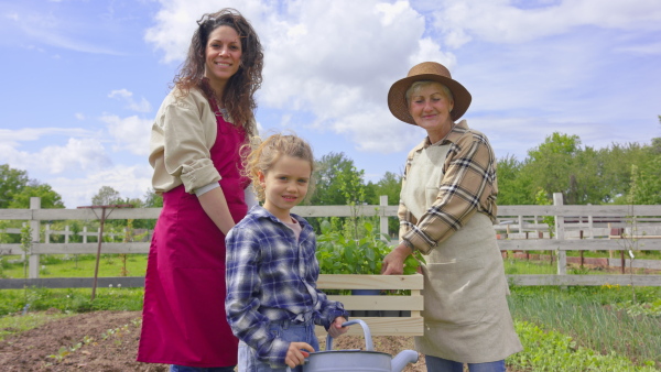 Multi-generation female farmers planting fresh herbs, looking at camera. Community farming concept.