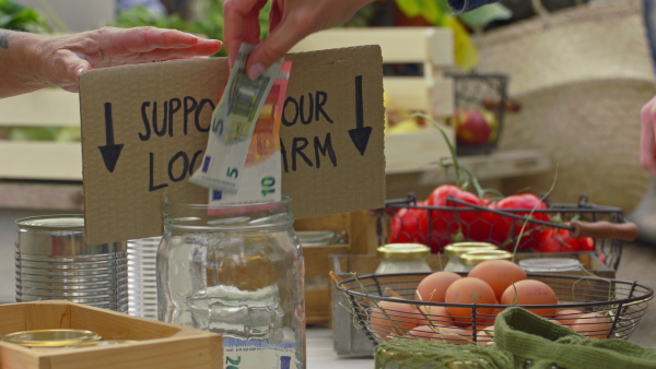 A customers paying for fresh herbs and vegetables on farm market. Close up on money. Community farming concept.