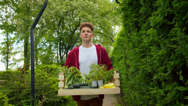 A young farmer walking towards camera with box of vegetables. Community farming concept.