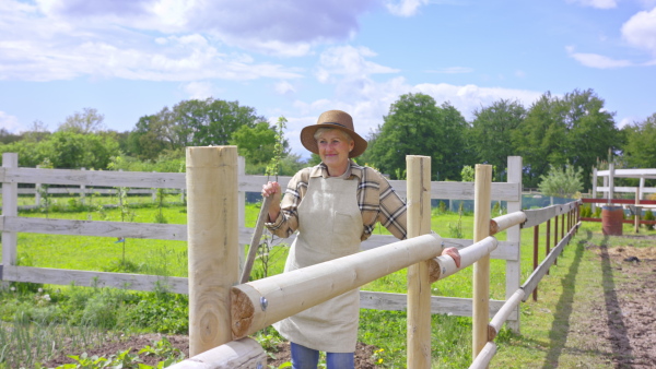 A senior woman standing on field. Community farming concept.