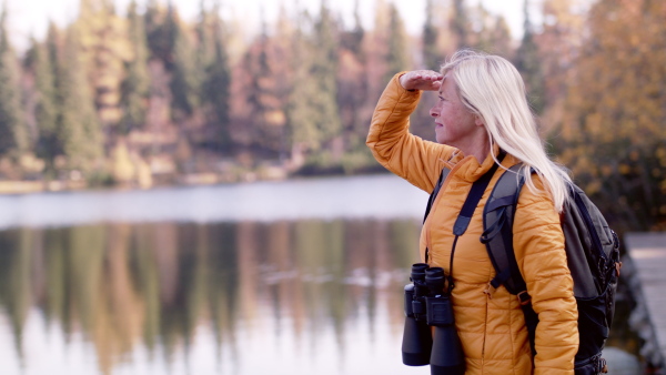 An active senior woman hiker with binoculars standing outdoors in nature. Slow motion.