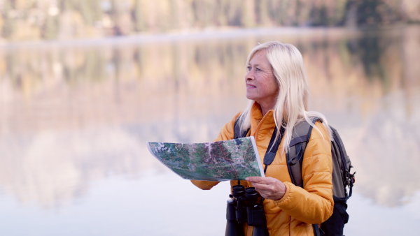 Active senior woman hiker with backpack and binoculars standing outdoors in nature, using map.