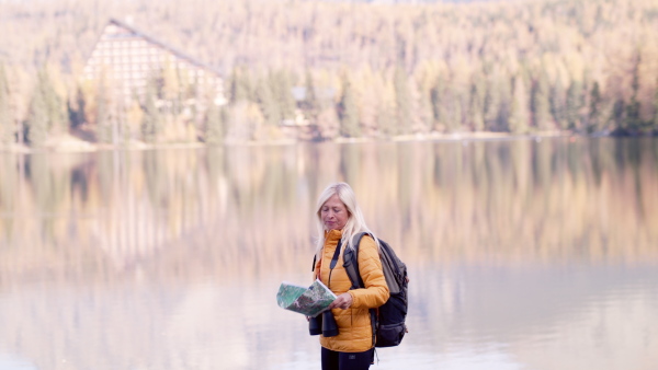 Active senior woman hiker standing outdoors in nature, using map and binoculars.