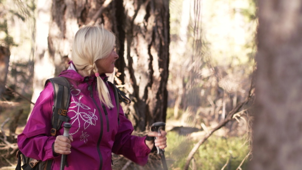 Senior woman hiker with nordic poles walking outdoors in forest in nature.