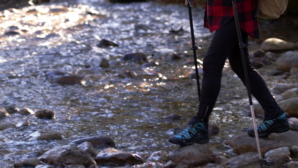 Senior woman hiker with nordic poles walking outdoors in forest in nature, midsection. Slow motion.