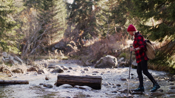 Senior woman hiker with nordic poles walking outdoors in forest in nature. Slow motion.