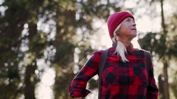 An active senior woman hiker standing outdoors in nature, resting. Slow motion.