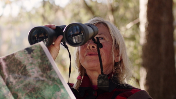 Active senior woman hiker standing outdoors in nature, using map and binoculars. Slow motion.