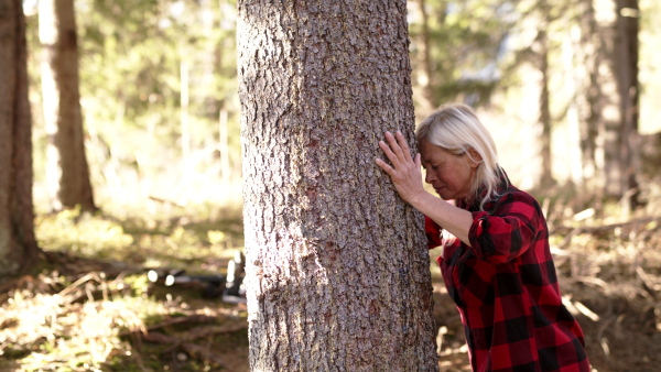 Side view of senior woman hiker standing outdoors in nature, hugging tree.