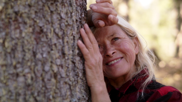 Happy senior woman hiker standing by tree outdoors in nature, relaxing.