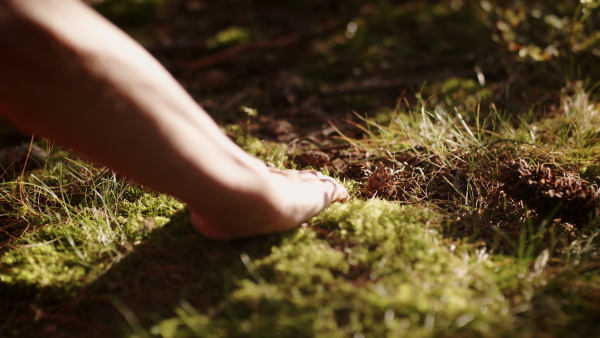 Midsection of senior female hand touching the ground and grass in nature.