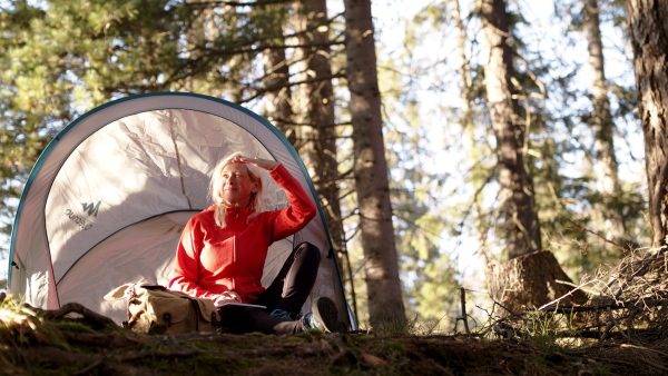 Senior woman hiker with tent shelter sitting outdoors in forest in nature, resting. Slow motion.