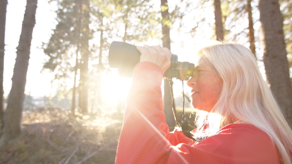 Active senior woman hiker standing outdoors in nature, using binoculars. Slow motion.