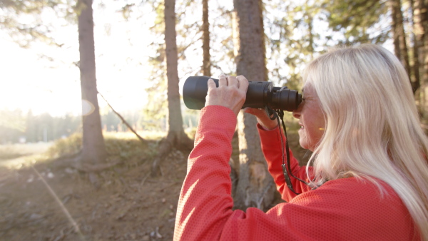 Active senior woman hiker standing outdoors in nature, using binoculars. Slow motion.