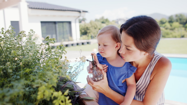 Portrait of young mother with small daughter outdoors in backyard garden, spraying plants.