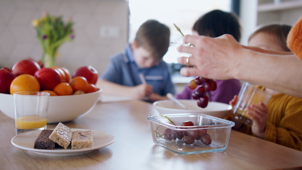 Busy mother with small children in kitchen in the morning at home, preparing snack for school.