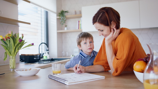 Happy mother with small son in kitchen in the morning at home, planning and talking.