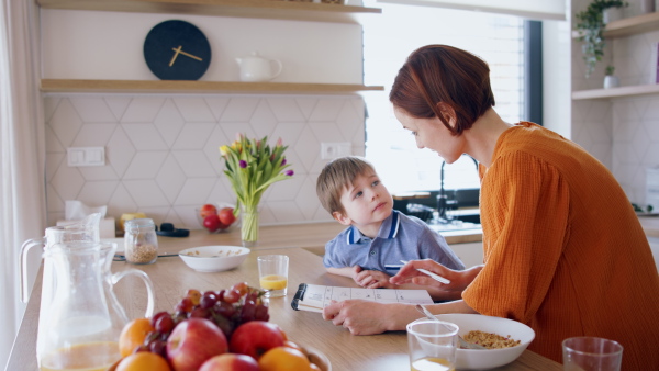 Happy mother with small son in kitchen in the morning at home, planning and talking.