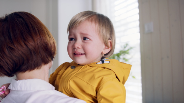 Mother with crying small children in hall in the morning at home, sibling rivalry concept.