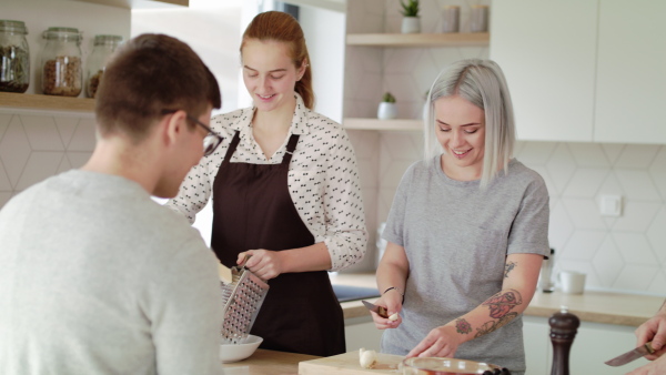 Group of young people cooking together at home, house sharing concept.