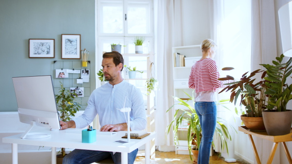 A mature businessman with partner indoors in home office, using laptop when working.