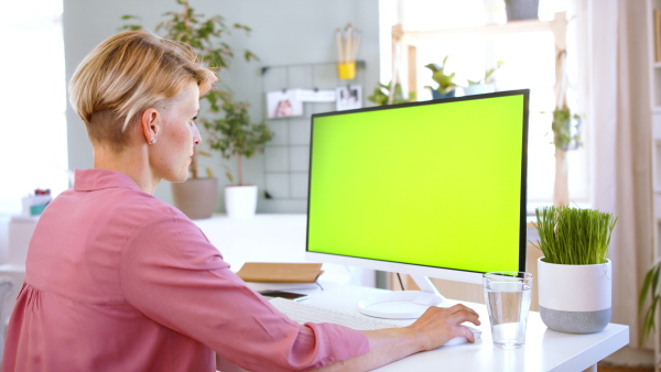 Side view of businesswoman with computer working indoors in office, keyable screen.