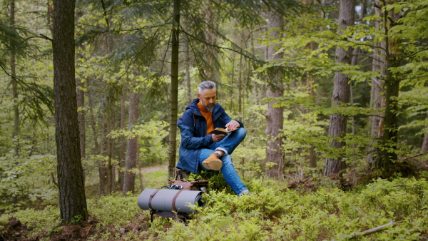 Mature man with backpack reading book outdoors in forest in nature, sitting.