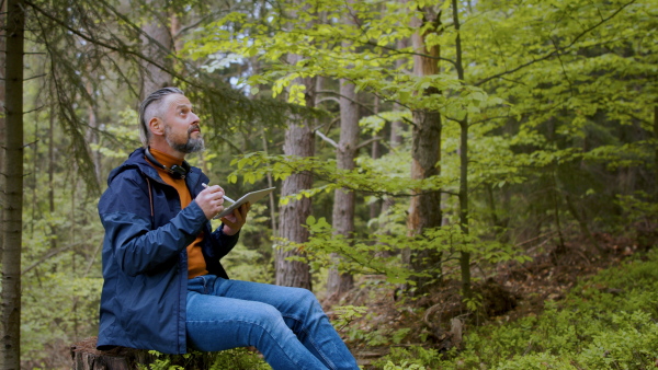 Side view of mature man using laptop in forest in nature, outdoor office concept.