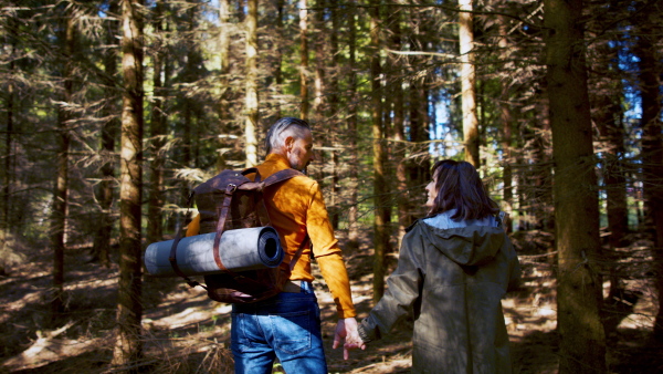 Rear view of mature couple with backpack walking outdoors in forest in nature, holding hands.