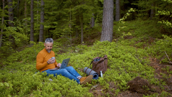 Side view of mature man with laptop and smartphone in forest in nature, outdoor office concept.