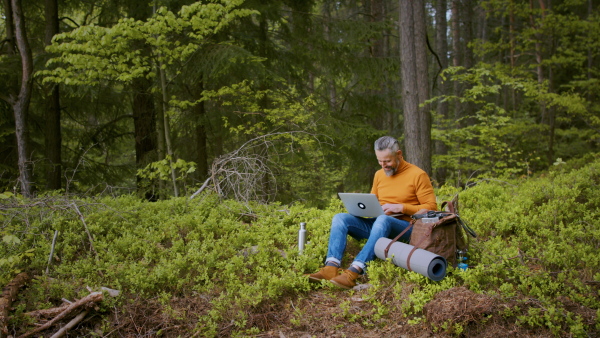 Side view of mature man using laptop in forest in nature, outdoor office concept.