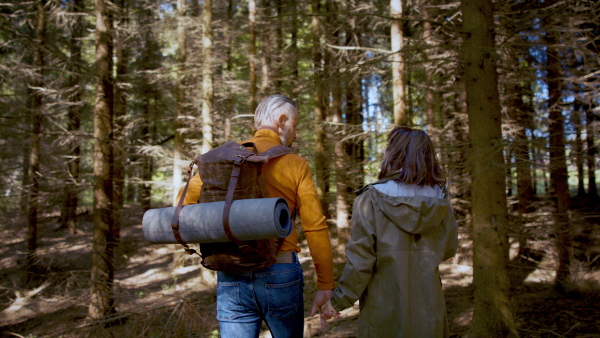 Rear view of mature couple walking outdoors in forest in nature, holding hands and talking.