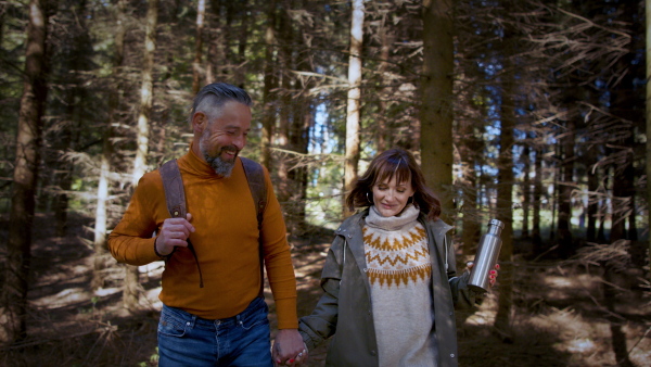 Front view of mature couple walking outdoors in forest in nature, holding hands.