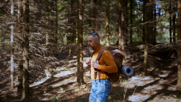 Mature man with backpack standing outdoors in forest in nature, looking around.