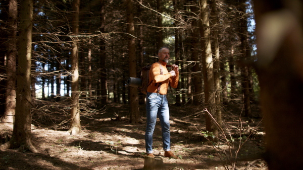 Mature man with backpack standing outdoors in forest in nature, standing.