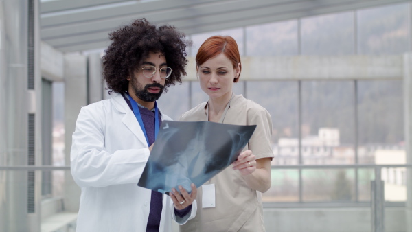 Doctors looking at X-ray on a medical conference, discussing issues.