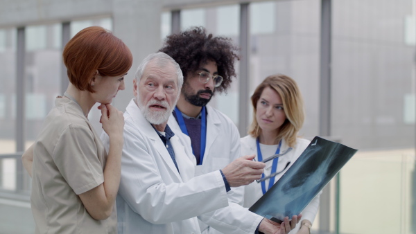 A group of doctors looking at X-ray on medical conference, discussing issues.