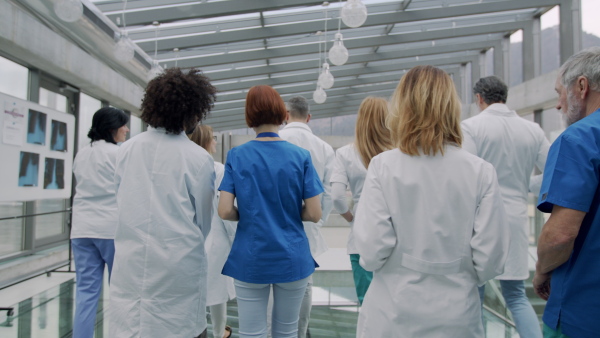 A rear view of group of doctors walking in corridor on medical conference. Slow motion.