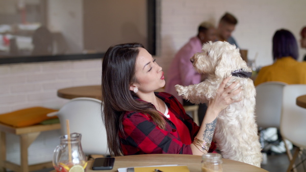 Portrait of happy young woman sitting in cafe, talking to pet dog. Slow motion.