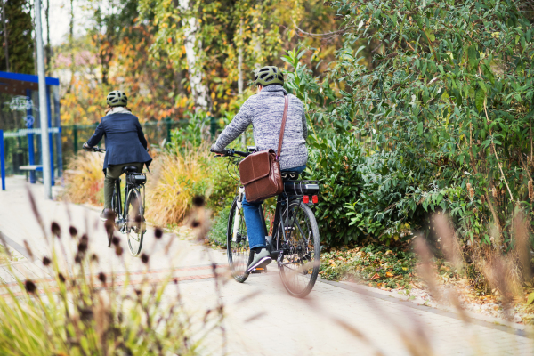 A rear view of active senior couple with helmets and electrobikes cycling outdoors on a pathway in town.