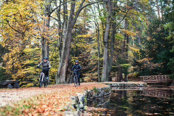 An active senior couple with electrobikes cycling outdoors on a road in park in autumn.