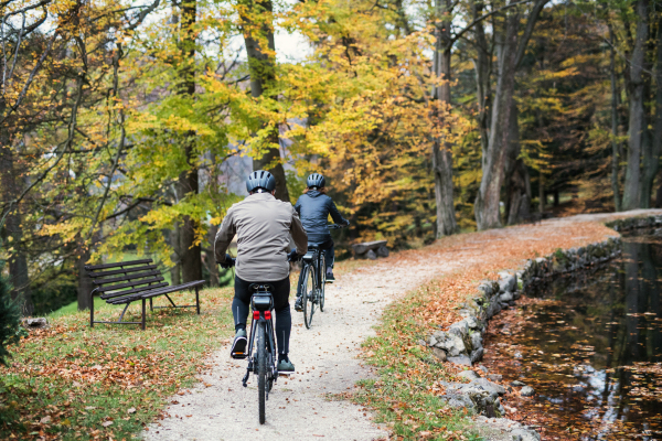 A rear view of active senior couple with electrobikes cycling outdoors on a road in park.