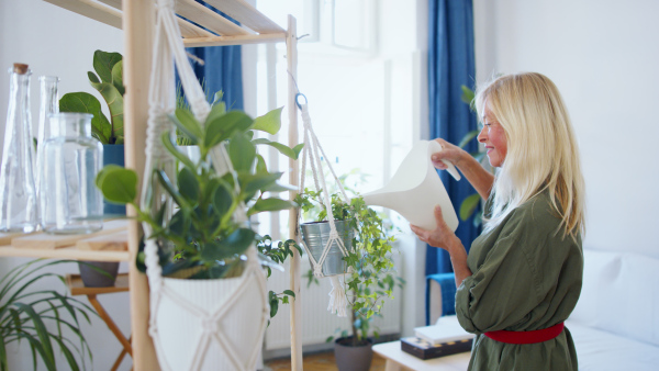 Side view of attractive senior woman watering plants indoors at home.